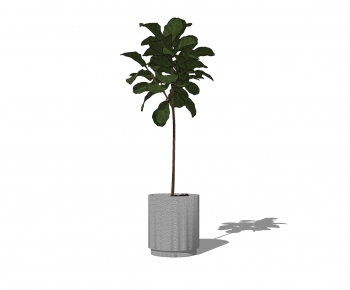 Modern Potted Green Plant-ID:121234262