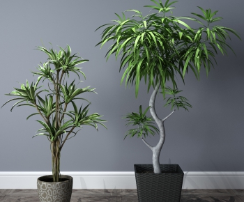 Modern Potted Green Plant-ID:968936691