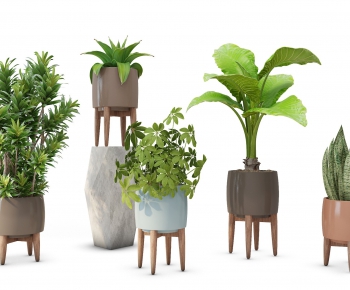 Modern Potted Green Plant-ID:607513359