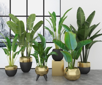 Modern Potted Green Plant-ID:882479632