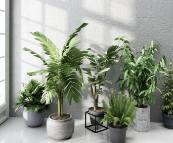 Modern Potted Green Plant-ID:626257957