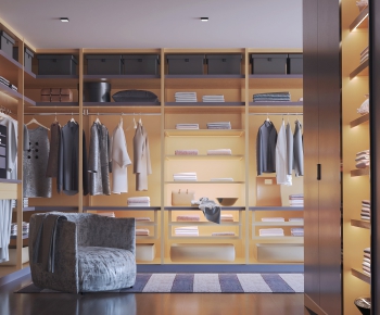 Modern Clothes Storage Area-ID:464239938