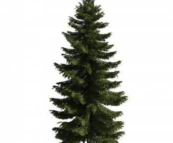 Modern Tree-ID:437333214