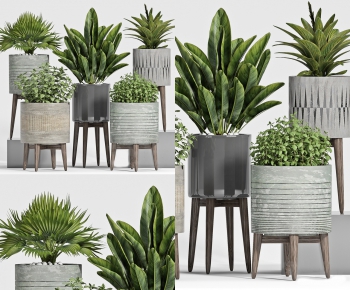 Modern Potted Green Plant-ID:398032251