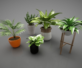 Modern Potted Green Plant-ID:784152486