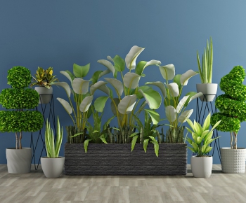 Modern Potted Green Plant-ID:505253949