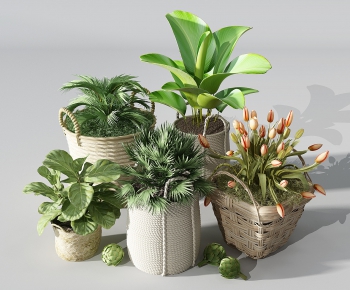 Modern Potted Green Plant-ID:711458277