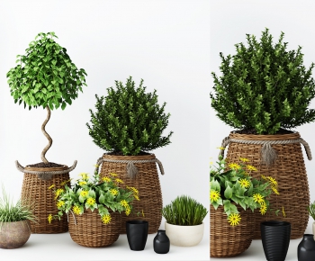 Nordic Style Potted Green Plant-ID:107815734