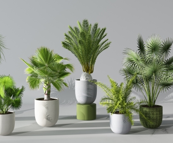 Modern Potted Green Plant-ID:677093289