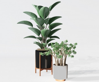 Modern Potted Green Plant-ID:643263118