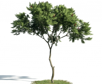 Modern Tree-ID:776255827