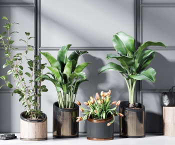 Modern Potted Green Plant-ID:479327831