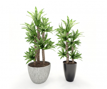 Modern Potted Green Plant-ID:476636588