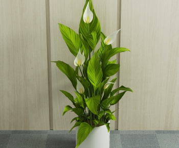 Modern Potted Green Plant-ID:226261969