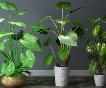 Modern Potted Green Plant-ID:935890189