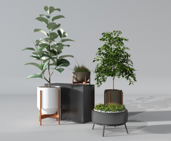 Modern Potted Green Plant-ID:847255991