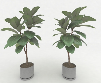 Modern Potted Green Plant-ID:106625672