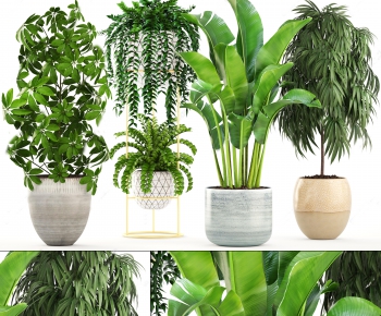 Modern Potted Green Plant-ID:361827365