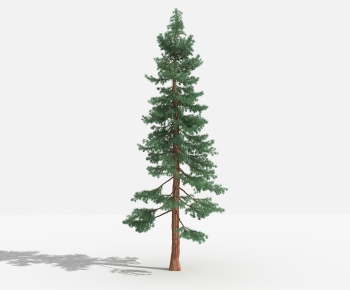 Modern Tree-ID:640317527