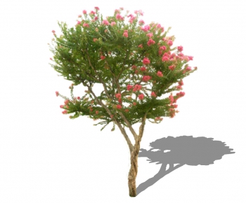 Modern Tree-ID:640520812
