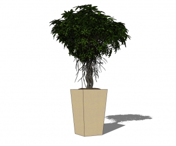 Modern Potted Green Plant-ID:500519266