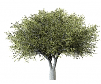 Modern Tree-ID:206928329