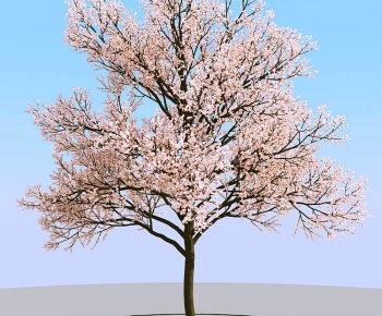 Modern Tree-ID:323771254