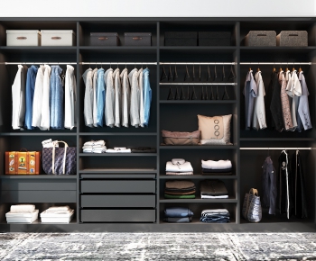 Modern Clothes Storage Area-ID:448235598