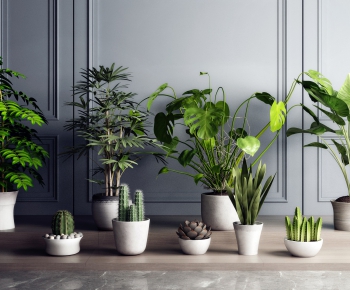 Modern Potted Green Plant-ID:371652842