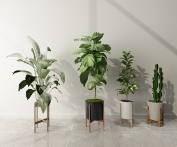 Modern Potted Green Plant-ID:871316892
