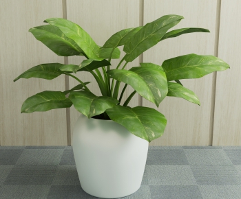 Modern Potted Green Plant-ID:632858515