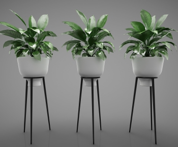 Modern Potted Green Plant-ID:382082646