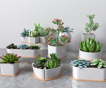 Modern Potted Green Plant-ID:955022755