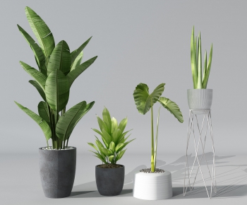 Modern Potted Green Plant-ID:781247254