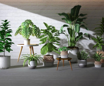 Modern Potted Green Plant-ID:648569117