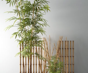 Modern Bamboo-ID:347342342