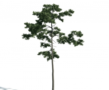 Modern Tree-ID:901367645