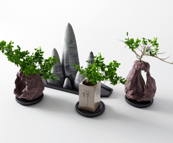 Modern Bonsai-ID:579708274