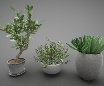 Modern Potted Green Plant-ID:564809653