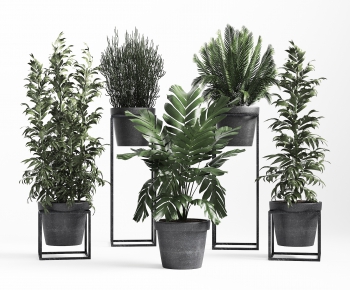 Modern Potted Green Plant-ID:284934743