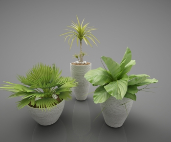 Modern Potted Green Plant-ID:738571955