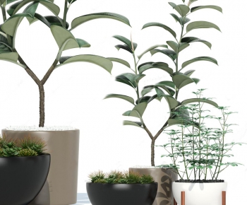 Modern Potted Green Plant-ID:233645823