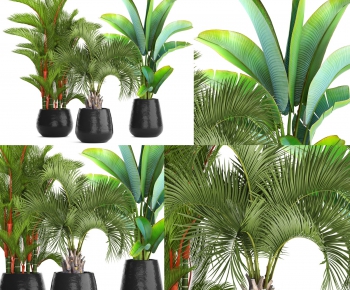 Modern Potted Green Plant-ID:522599382