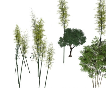 现代园林专用高精度竹子模型-ID:617334819