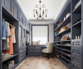 American Style Clothes Storage Area-ID:431130615