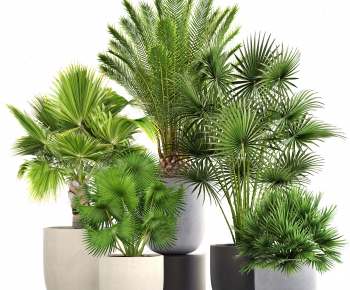 Modern Potted Green Plant-ID:165810284