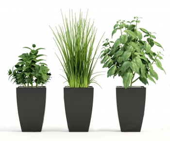 Modern Potted Green Plant-ID:792502259