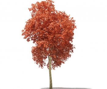 Modern Tree-ID:880153341