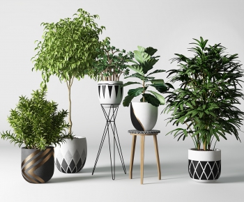 Modern Potted Green Plant-ID:699756791