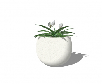 Modern Potted Green Plant-ID:707277196